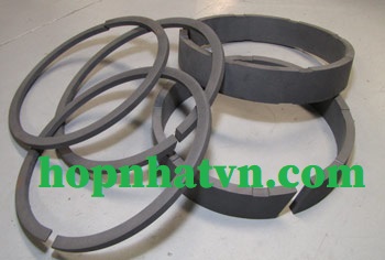 Bạc Piston PTFE / Piston Ring