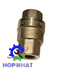 Check Valve 2104100094 for Fusheng Air Compressor SIZE1/4PN1.6