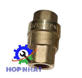 Check Valve 2104100094 for Fusheng Air Compressor SIZE1/4PN1.6