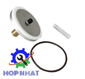 250018-262 Check Valve Service Kit for SULLAIR Compressor MPV LS25S