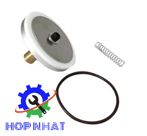 250018-262 Check Valve Service Kit for SULLAIR Compressor MPV LS25S