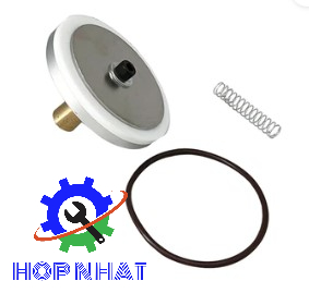 250018-262 Check Valve Service Kit for SULLAIR Compressor MPV LS25S