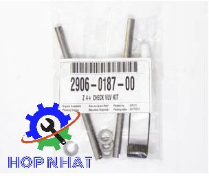 2906018700 CHECK VLV KIT FOR ATLAS COPCO Z 4+ 2906-0187-00