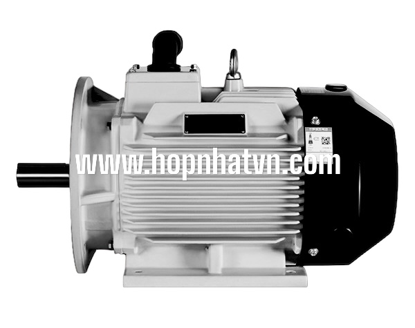 Động Cơ Máy Nén Khí Trục Vít IP54 / IP55