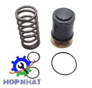 Minimum Pressure Check Valve Kit 2230337671P for Boge Compressor