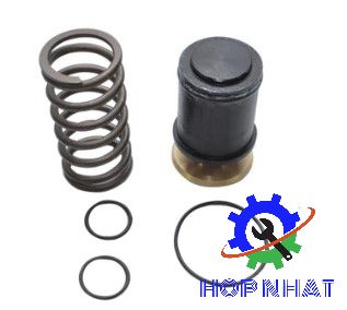 Minimum Pressure Check Valve Kit 2230337671P for Boge Compressor