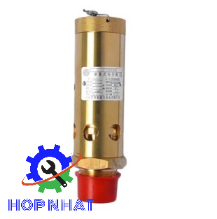 Safety Valve 1092012413 0830100813 for Atlas Copco Compressor 1092-0124-13 0830-1008-13