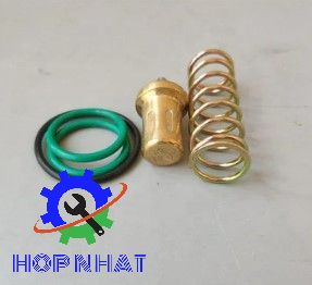 2205490592 Thermostat Valve Service Kit for Liutech Air Compressor Repair Parts