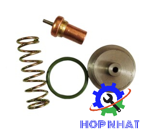 22832885 Thermostatic Valve Kit Parts for Ingersoll Rand Air Compressor 22064687